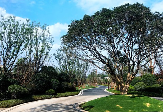 万科百亿项目,万科百亿