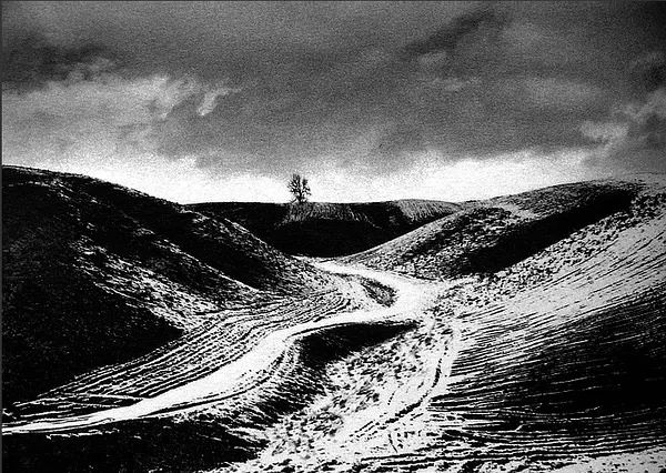 一个陌生女人的来信话剧完整版,一个陌生女人的来信