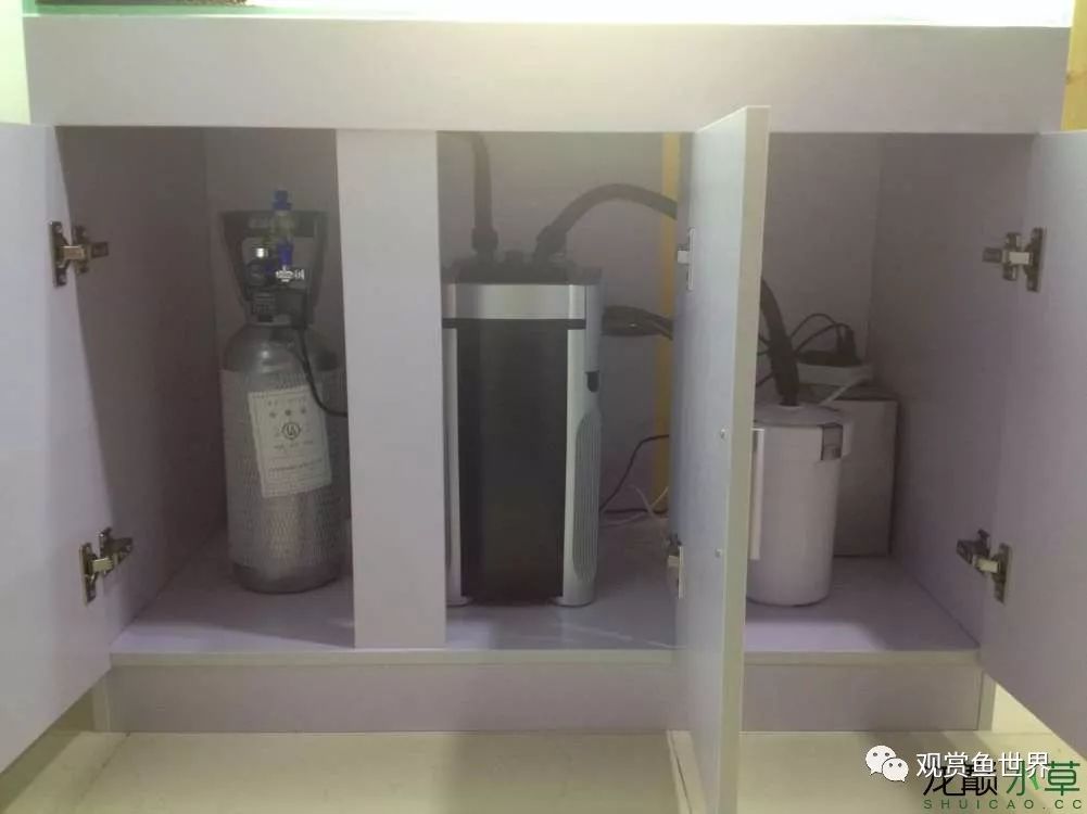 谦虚的新人晒一晒1米缸，“建缸”VS45天后（内涵多张细节图和详解！）