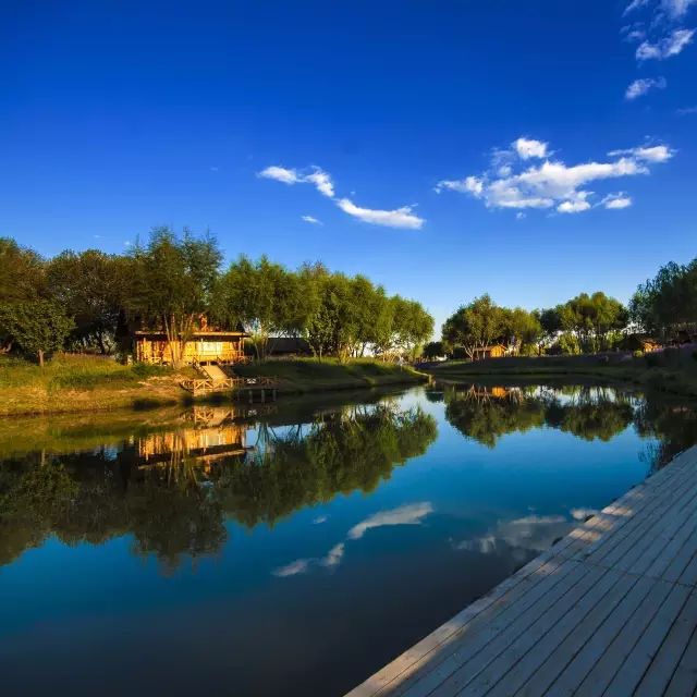 「焦点」中卫这个地方的蓝天碧水美出了新高度，比这更美的还有……