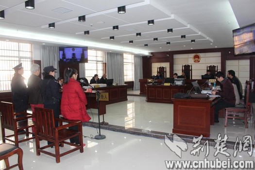 通城法院公开审理全市首例生产、销售假药公益诉讼案