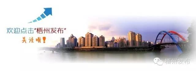 梧州有什么便民平台,梧州市信息中心