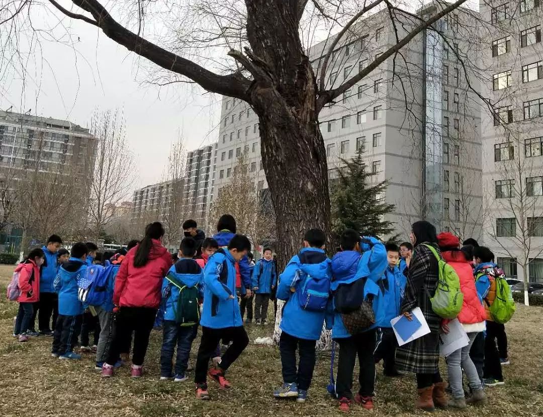 燕灵路小学课程,燕灵路小学科学小实验