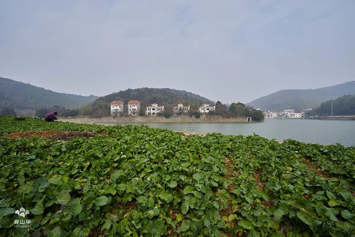 无锡千年古村尧歌里火了,无锡古村尧歌里在哪里