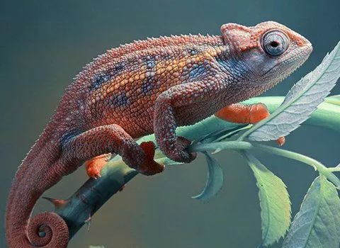 那些年我们不曾咀嚼过的“阴阳”：知阴阳携生，却不知“阳常有余，阴常不足”？