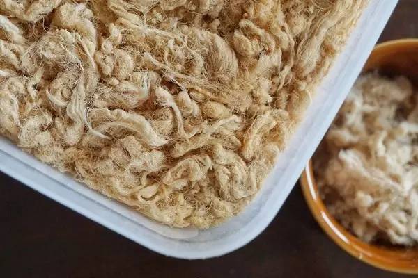 一枚重度吃货花19538.6元总结出的全球罕见美食清单