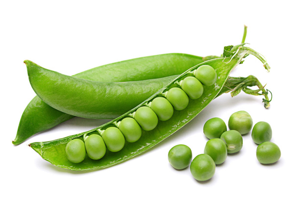 黄豌豆功效作用及禁忌,豌豆的营养价值与禁忌