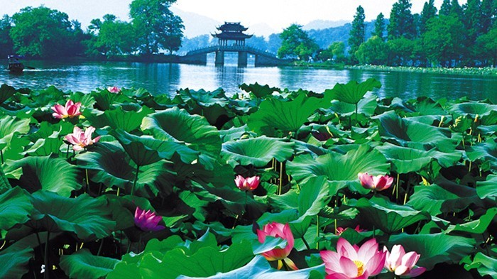 新一线城市名单杭州,2020新一线城市名单杭州