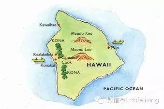 欢乐颂安迪吃邱莹莹做的饭,欢乐颂安迪给邱莹莹的咖啡