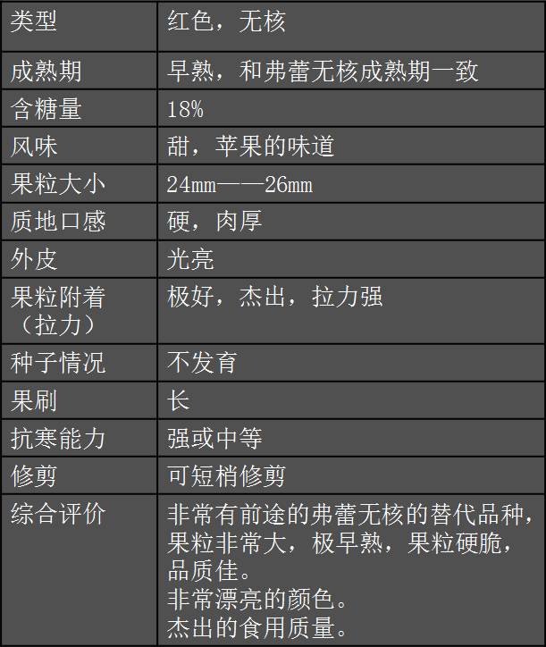 2017葡萄新品种苗,葡萄新品种分析