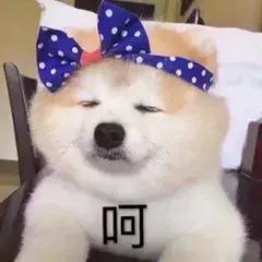 为什么你总是有人追,你为什么要追一个有男朋友的人