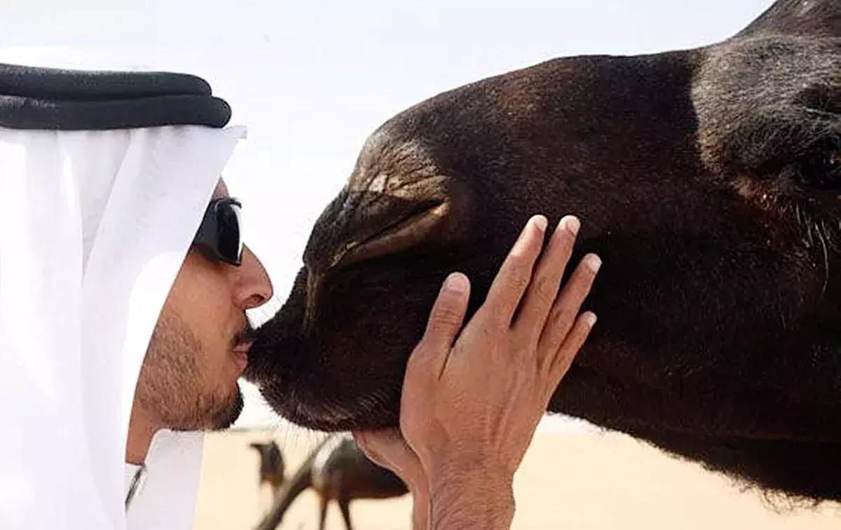 迪拜阿联酋对中国免签吗,阿联酋对中国免签入境多少天