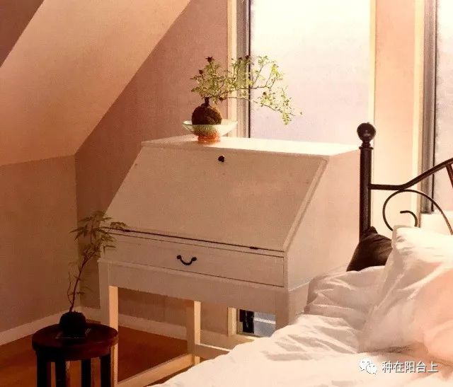 鑻旂帀鐩嗚姳,鑻旂帀鐩嗘牻閫犲瀷