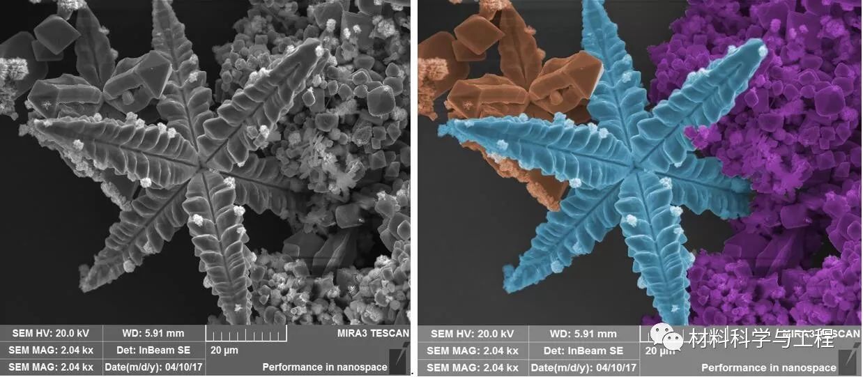 投票表决素材模板,投票素材图片图文