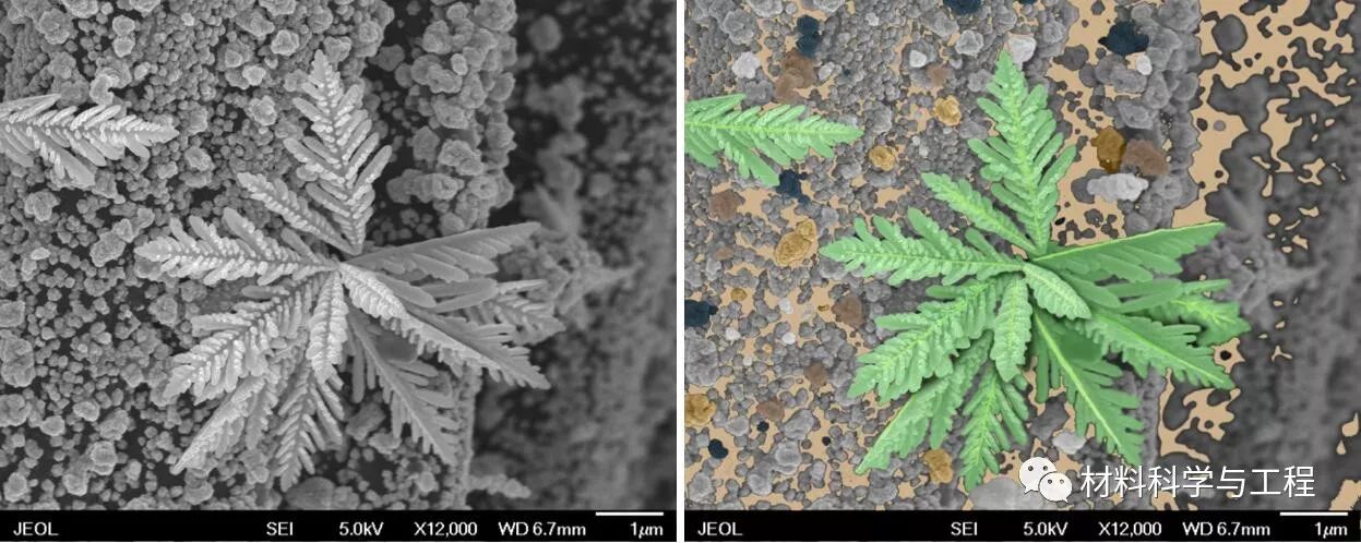投票表决素材模板,投票素材图片图文