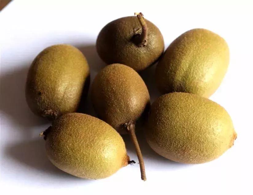 彭水摩围山旅游攻略,彭水摩围山风景区演出活动