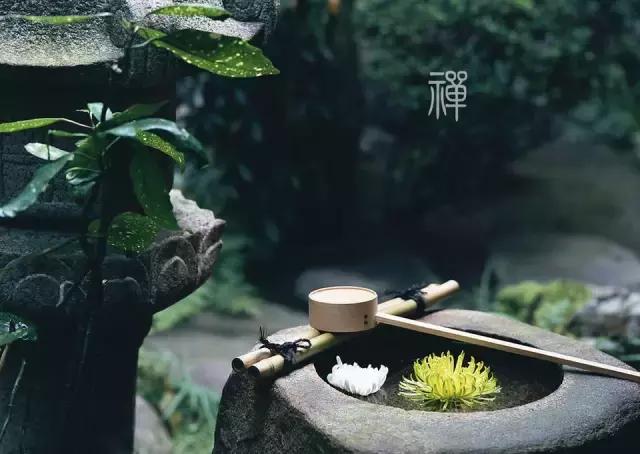 鬼谷子七十二术二十八集,鬼谷子七十二术完整版永久收藏