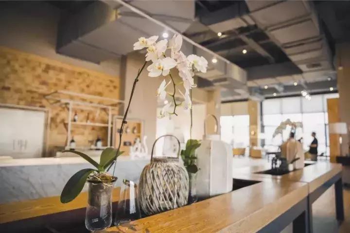 颜值爆表的几处玻璃花房,承载了姑娘们所有的“花房梦”!