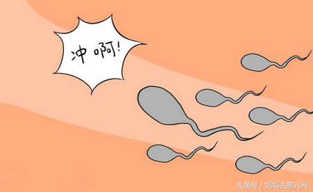 40周孕期全程手册——怀孕第2周:今天是不是好日子(part3)