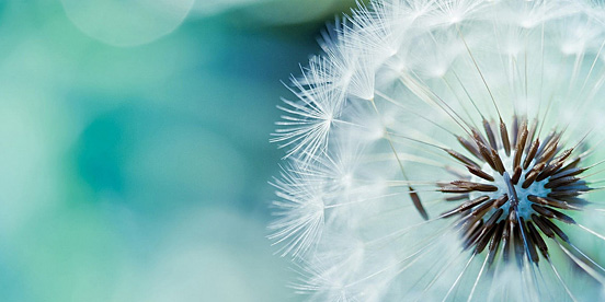 高逼格微博背景图分享3，英雄联盟是亮点