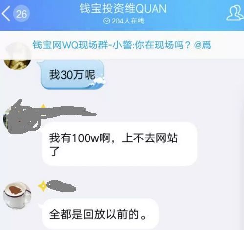 钱宝网背后的故事,钱宝网骗局
