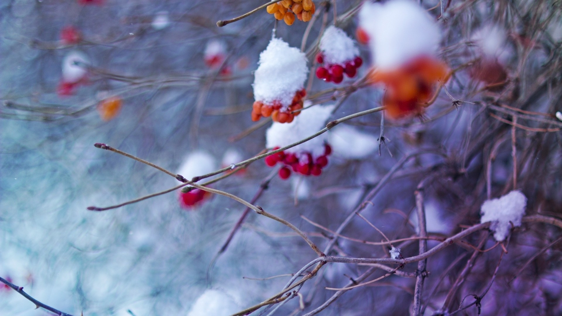 新手玩一个月就成大神的教程,小白也能成大神