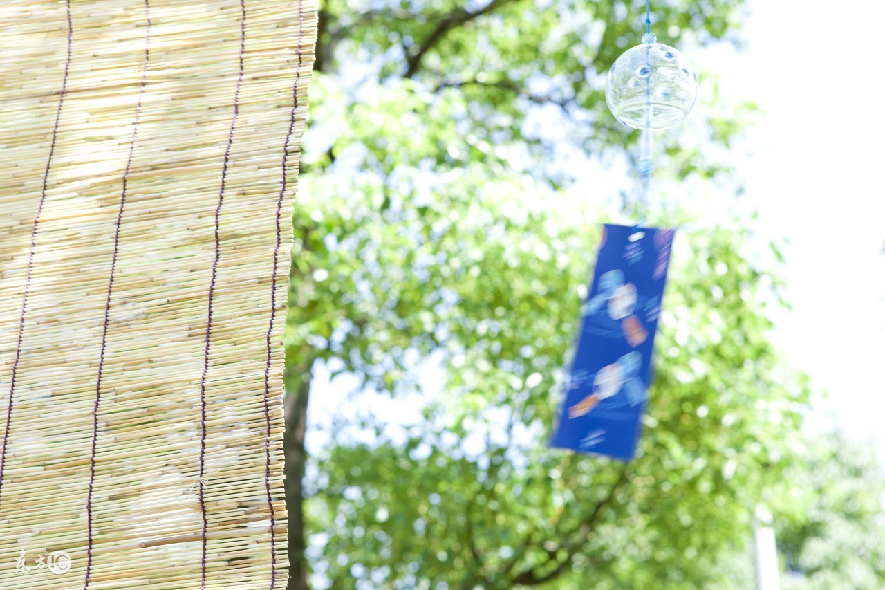 从日本回国买什么最划算,去日本买什么表最划算