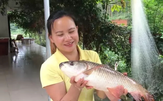 2017终极干货！欢子、猪倌、9妹……百万流量大咖运营攻略都给你！