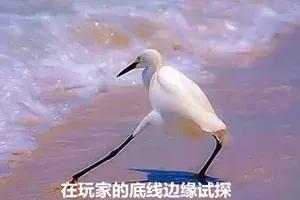 玩家的血汗钱都去哪了？盘点众筹游戏鲜为人知的黑历史