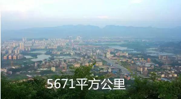 英德市特色,英德有几个特产