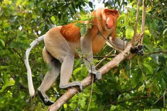 沙巴哪里适合亲子游,沙巴阳光小岛