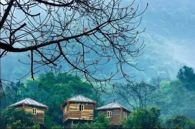 英德市特色,英德有几个特产