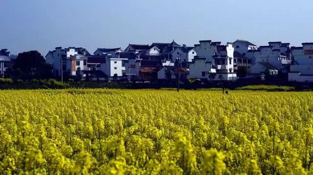 留在高淳还是去南京,在南京一定要去高淳吗