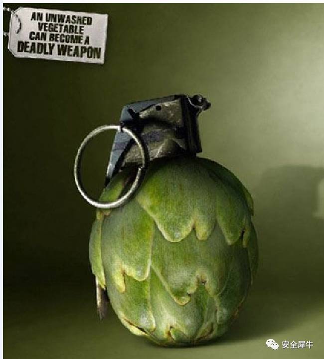 黑客新手入学基础书籍,新手黑客第一步该学的是什么知识