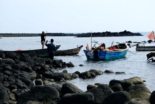 写到这里，情不自禁落泪——勤劳的海南女人