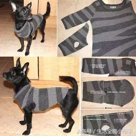 旧衣服怎么给狗狗做小衣服,夏天旧衣服给狗狗做衣服教程