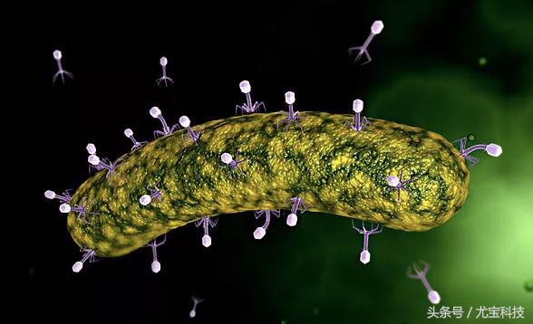 多大给孩子补dha怎么选好的dha,补充dha能让宝宝变得聪明吗