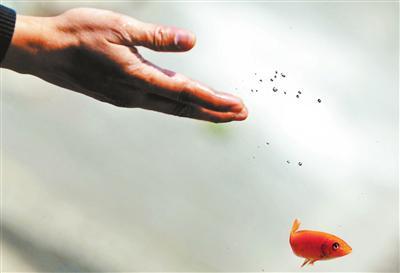 本命年犯太岁如何破,本命年犯太岁运气差怎么办