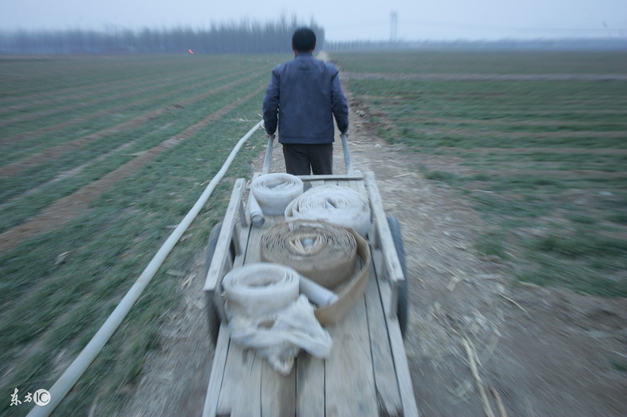 二舅是个木匠原视频,二舅是黄渤还是沈腾