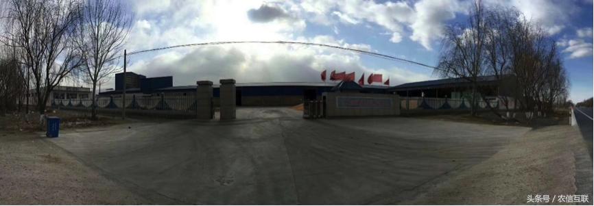 热烈祝贺山西日升粮油优质压片玉米认证农信优选