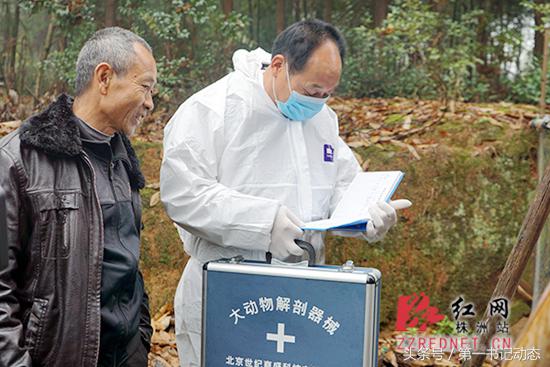 贫困户养殖户脱贫致富,精准贫困户养殖基本情况