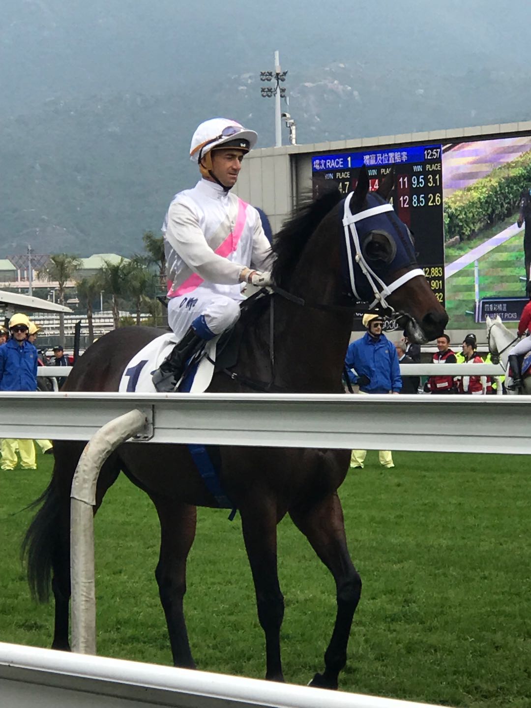 香港游记之湾仔,香港旅游所见所闻