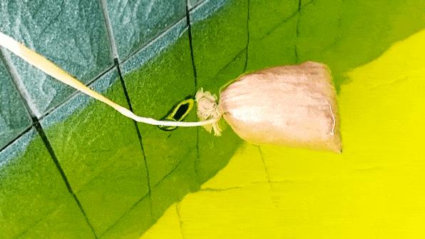 余姚梁弄古镇阳明温泉,余姚阳明温泉山庄周边景点