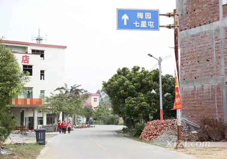 2024年梁化梅园看梅花时间,梁化梅花今年开了吗