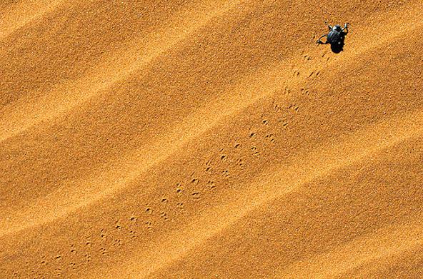 户外旅行建议的水杯,户外探险最好用什么水杯