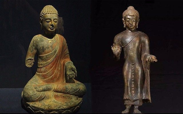 成都腊梅在哪里看,成都赏腊梅有哪些好地方