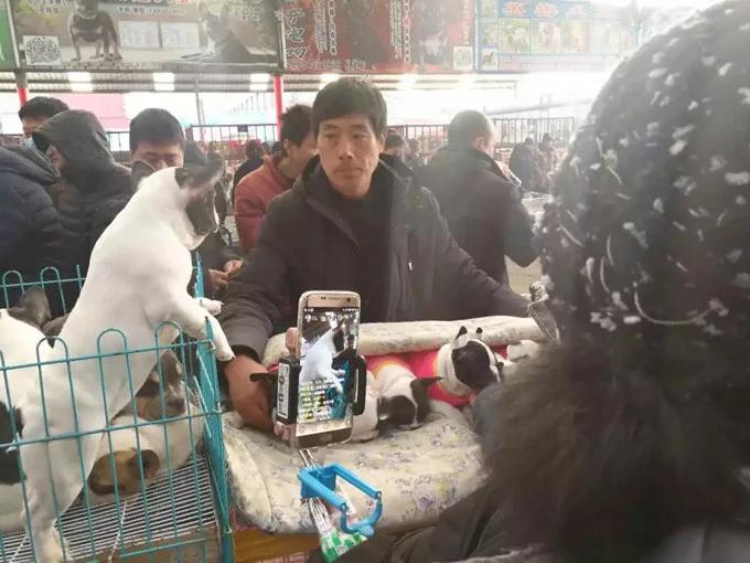 直播挣钱给小狗买狗粮,直播帮买宠物