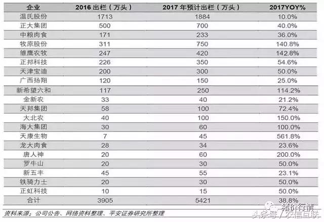 今日猪市深度解析,2023年下半年猪市行情分析