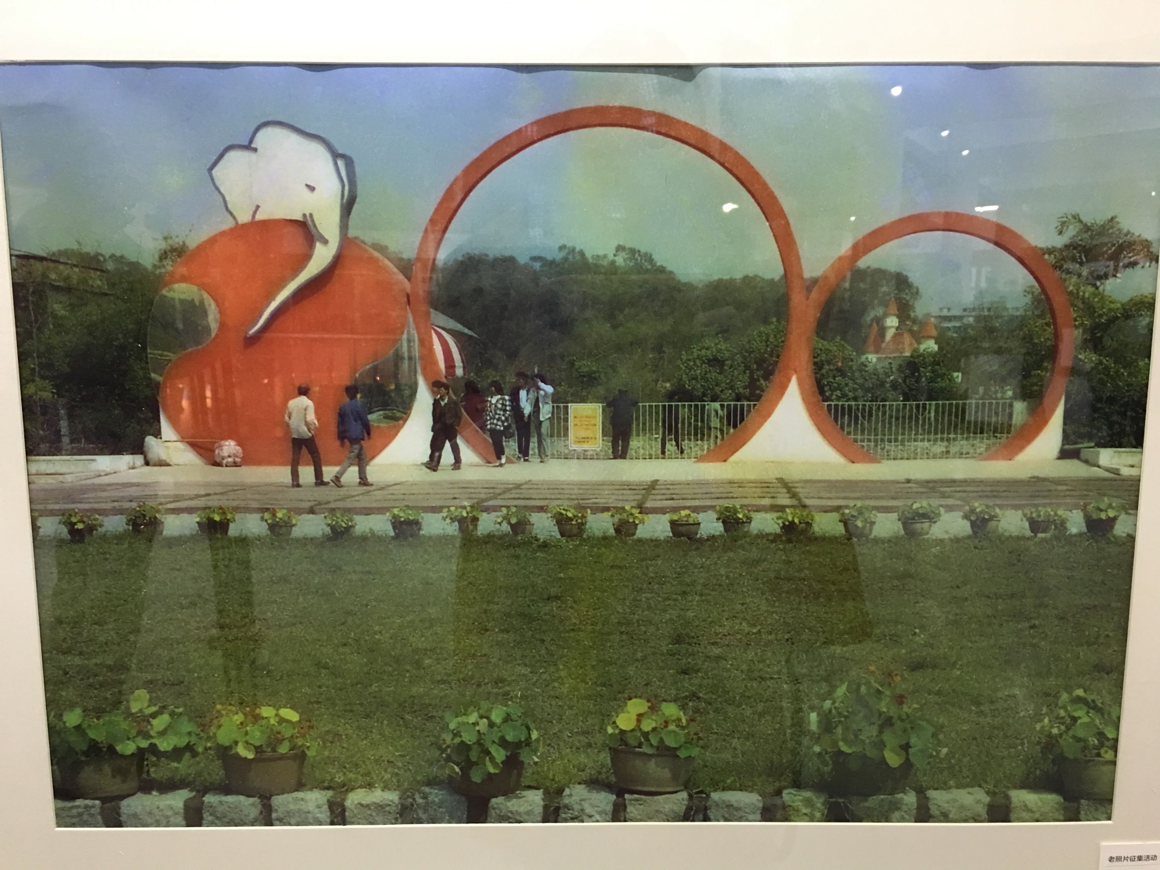 广州动物园40年前,70年代广州动物园