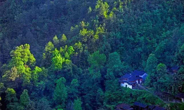 2019浙江旅行时间表,12月浙江最美旅行地排行